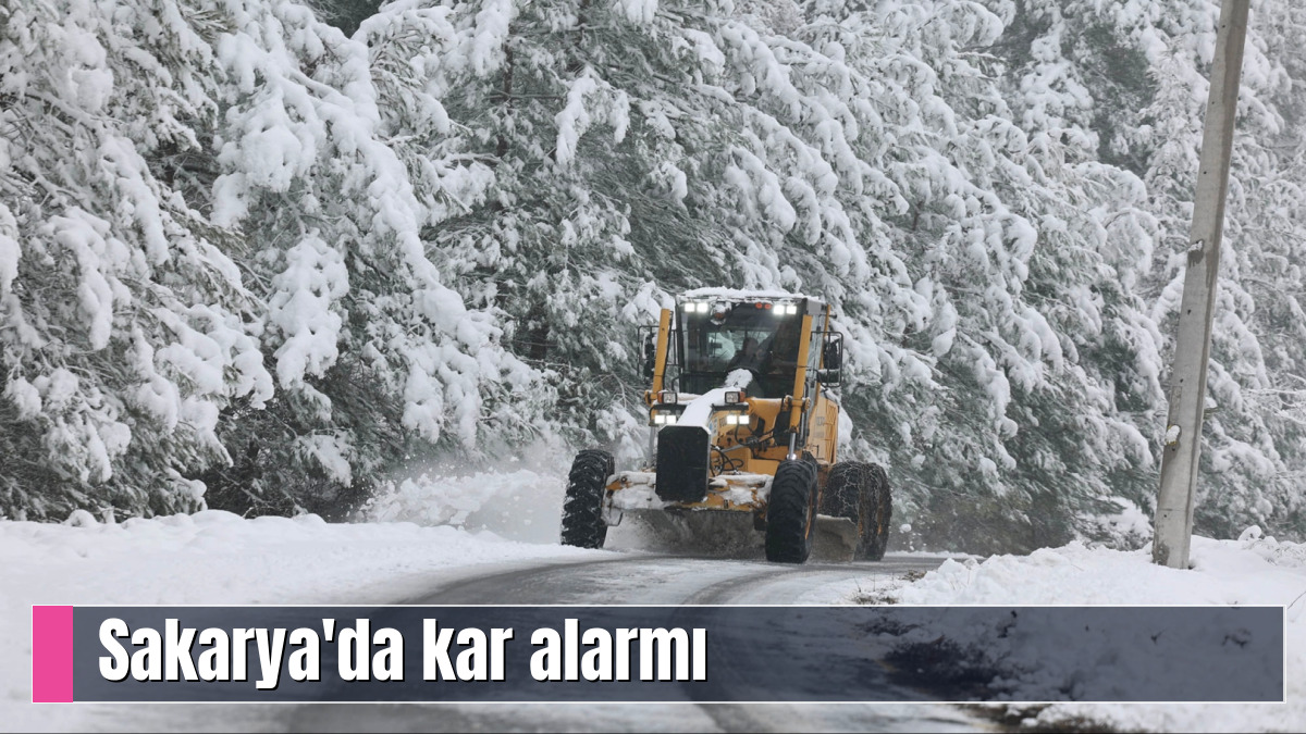 Sakarya'da Kar Alarmı