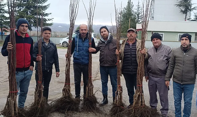 Bilecik Pazaryeri’nde Meyveciliğe Güçlü Destek